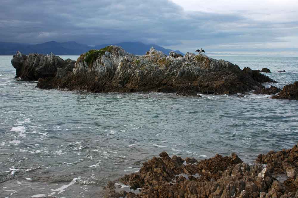 259 - Nueva Zelanda, oceano Pacifico, arrecifes